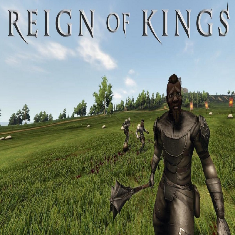 Reign of Kings Server Sydney Dedicated Server